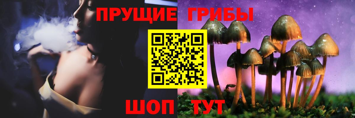 Псилоцибиновые грибы прущие грибы Санкт-Петербург